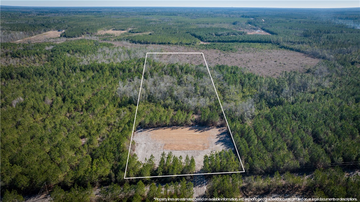 952 Boots Harrison Road Hortense, GA 31543 - Photo 6 of 31