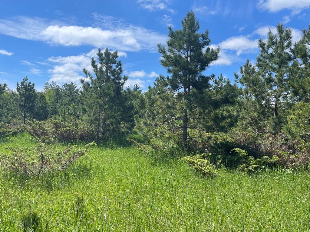 Tbd West Meadow Road Fish Creek, WI 54212 - Photo 5 of 10