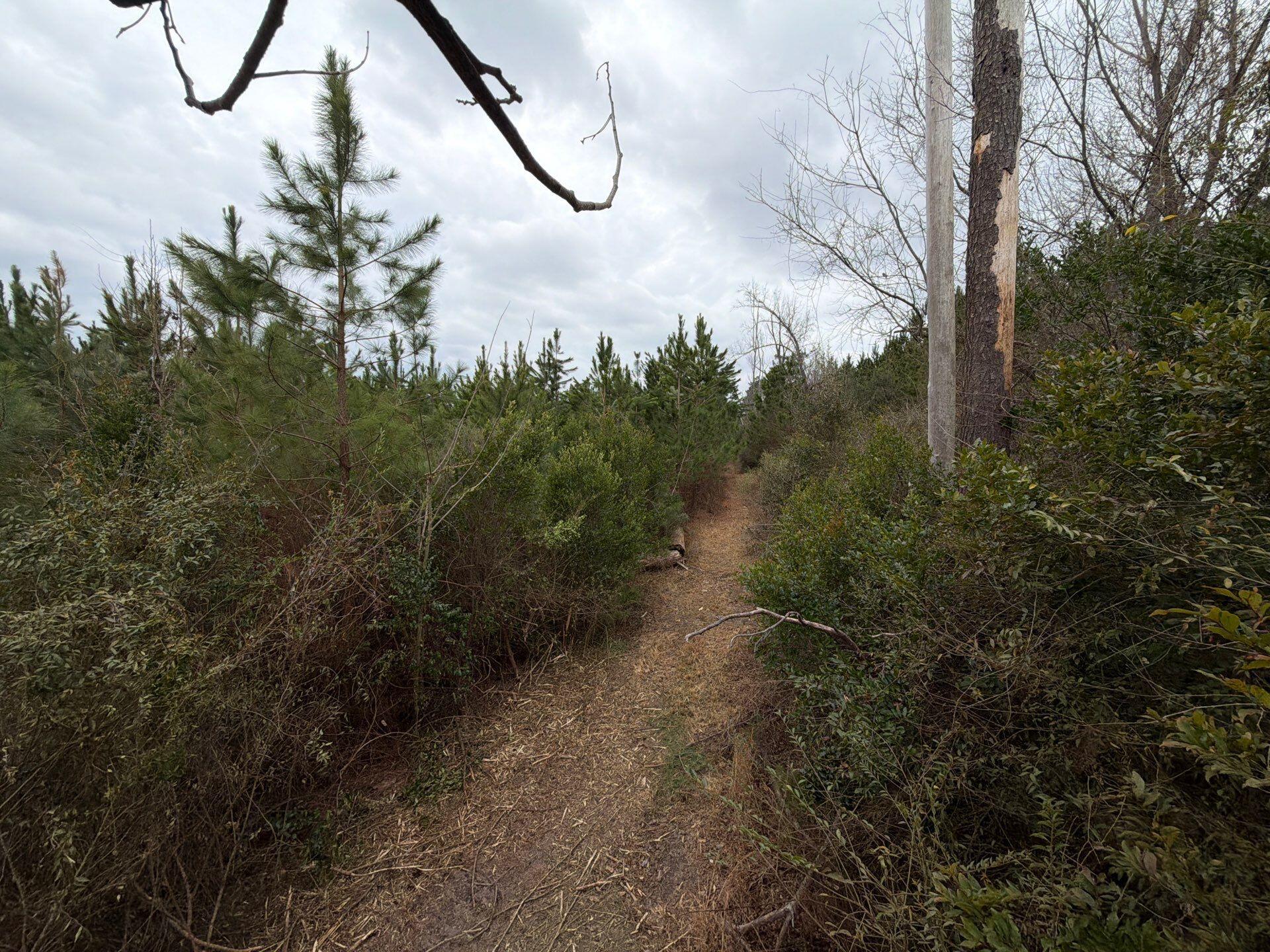 32-Feb 11 2026 06_30pm-k6dk