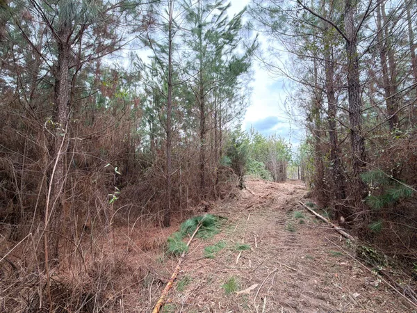 $54,900 | 4 J C J C Barefoot Road, Patrick, SC 29584