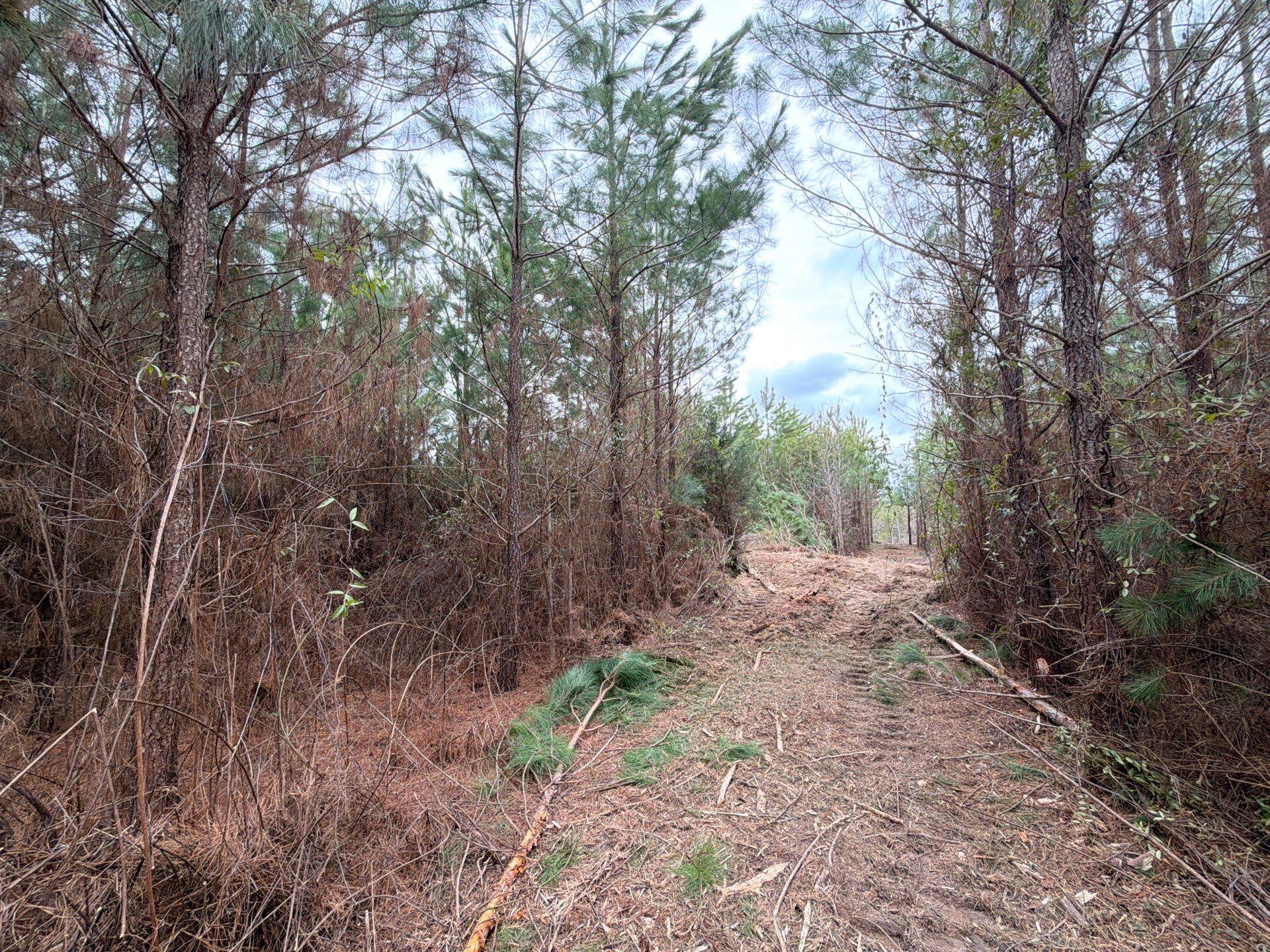 4 J C J C Barefoot Road Patrick, SC 29584 - Photo 11 of 21 17-Feb 11 2026 06_17pm-j3E8