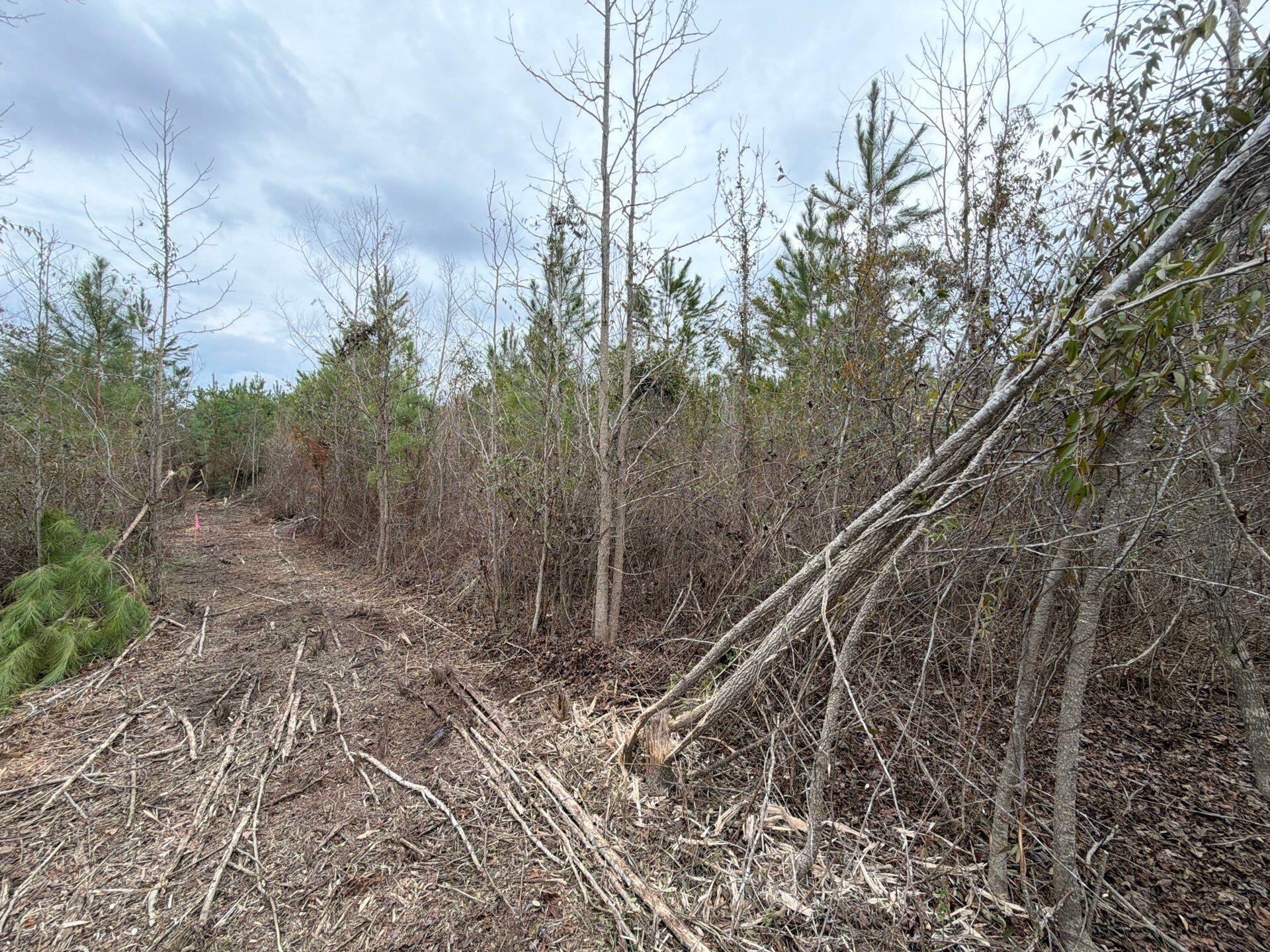 4 J C J C Barefoot Road Patrick, SC 29584 - Photo 13 of 21 15-Feb 11 2026 06_16pm-ANNH