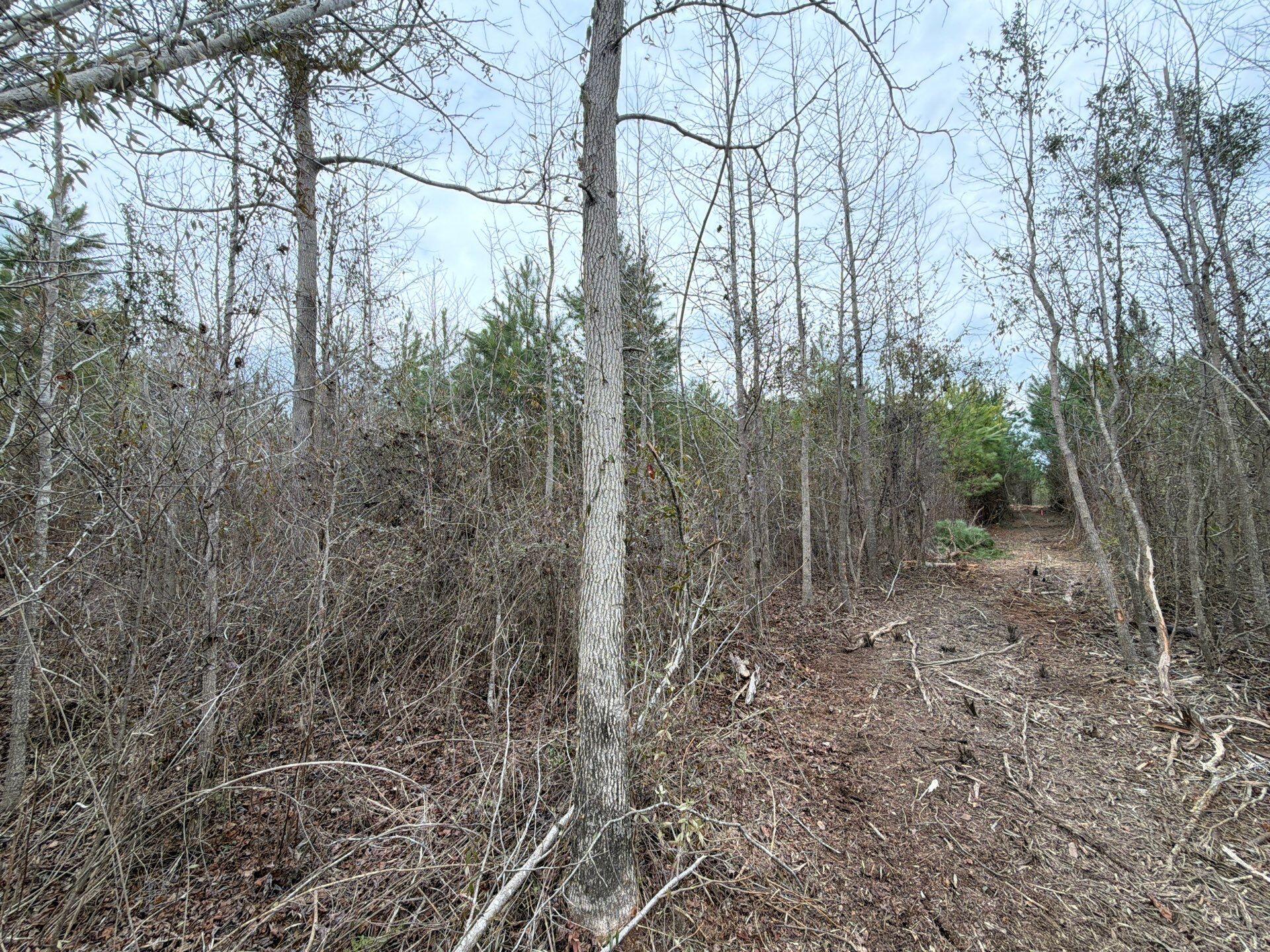 4 J C J C Barefoot Road Patrick, SC 29584 - Photo 14 of 21 14-Feb 11 2026 06_16pm-ps8e