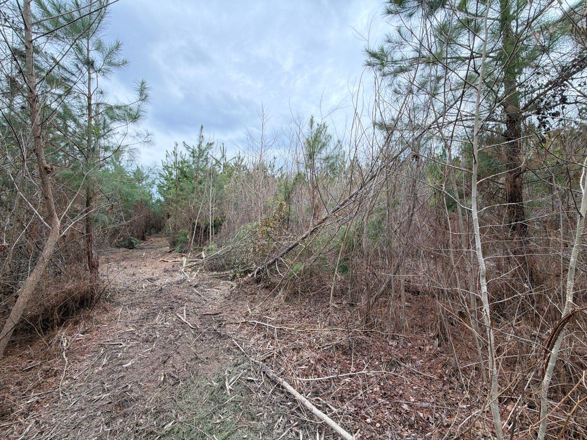 4 J C J C Barefoot Road Patrick, SC 29584 - Photo 15 of 21 13-Feb 11 2026 06_15pm-boca