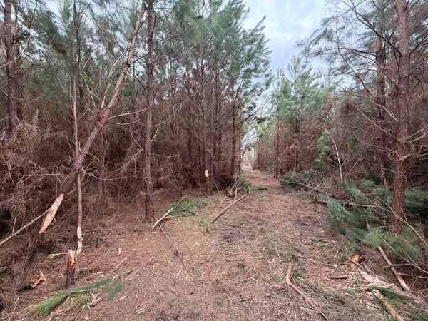 $54,900 | 4 J C J C Barefoot Road, Patrick, SC 29584