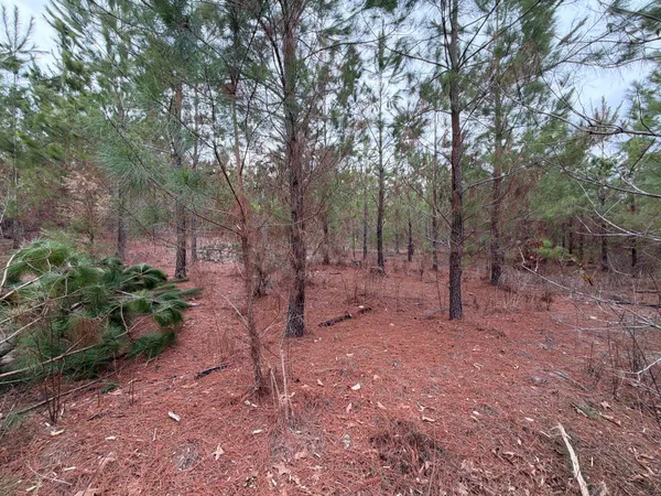 $54,900 | 4 J C J C Barefoot Road, Patrick, SC 29584