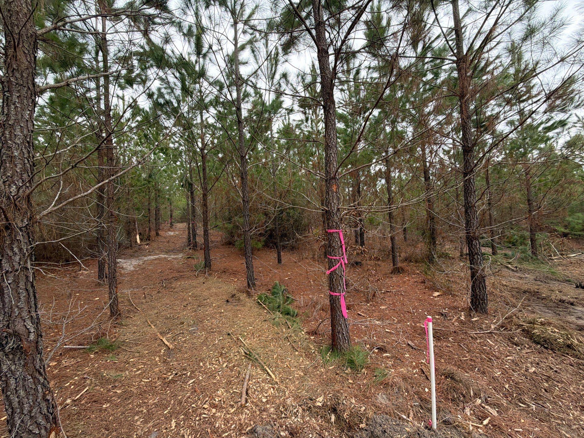 4 J C J C Barefoot Road Patrick, SC 29584 - Photo 20 of 21 4-Feb 11 2026 06_09pm-JmZE