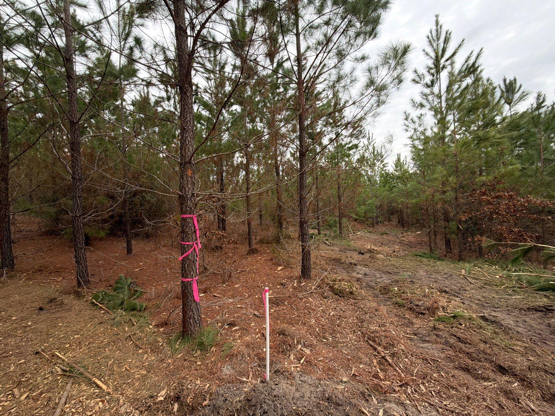 4 J C J C Barefoot Road Patrick, SC 29584 - Photo 21 of 21 3-Feb 11 2026 06_09pm-k2g7