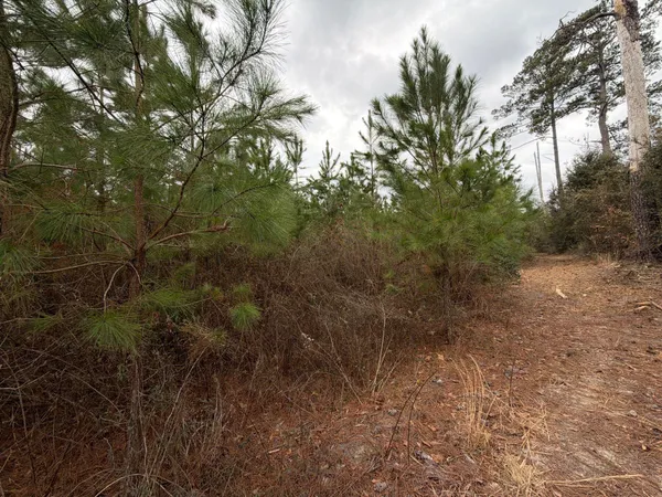 $54,900 | 4 J C J C Barefoot Road, Patrick, SC 29584