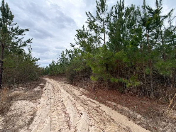 $54,900 | 4 J C J C Barefoot Road, Patrick, SC 29584