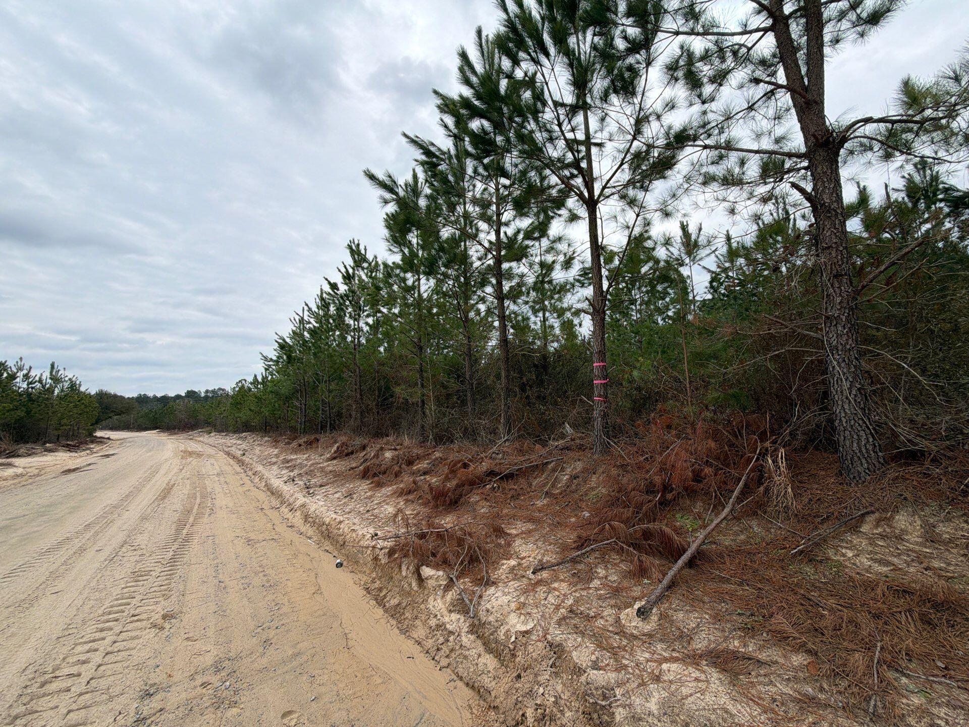 4 J C J C Barefoot Road Patrick, SC 29584 - Photo 5 of 21 25-Feb 11 2026 06_23pm-uUcf