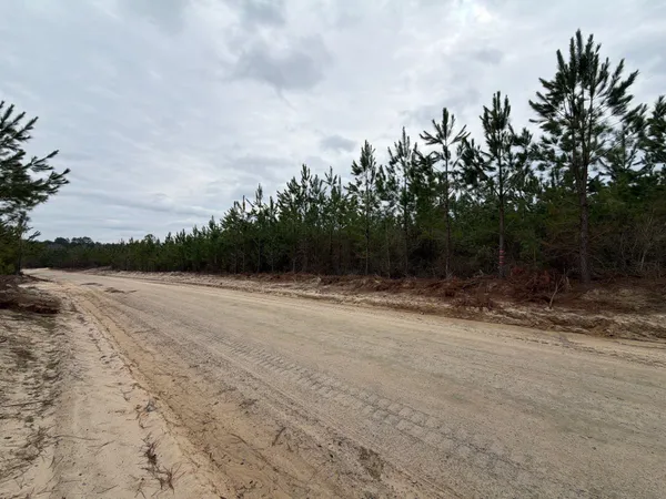 $54,900 | 4 J C J C Barefoot Road, Patrick, SC 29584