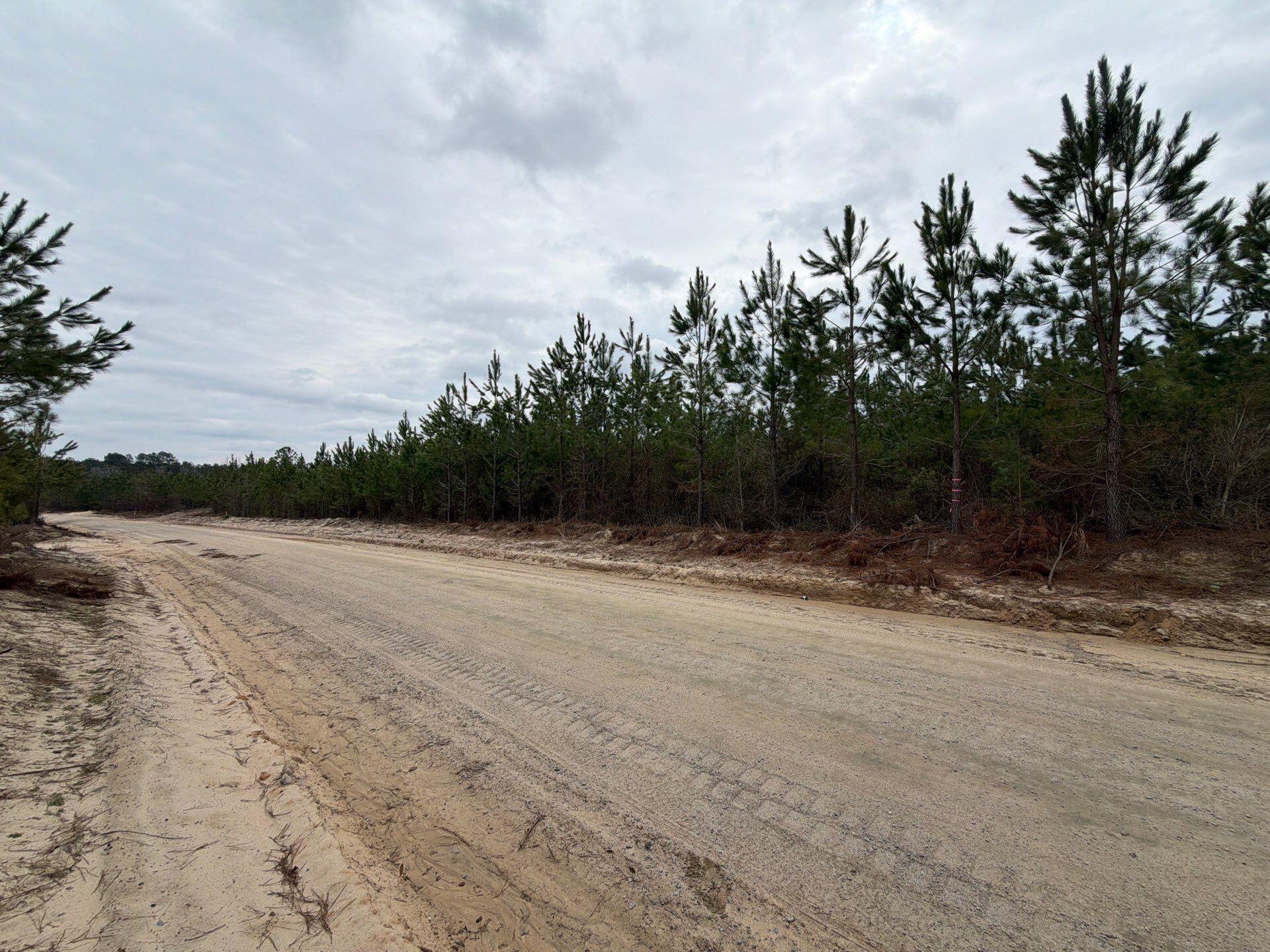 4 J C J C Barefoot Road Patrick, SC 29584 - Photo 6 of 21 24-Feb 11 2026 06_22pm-XgpC