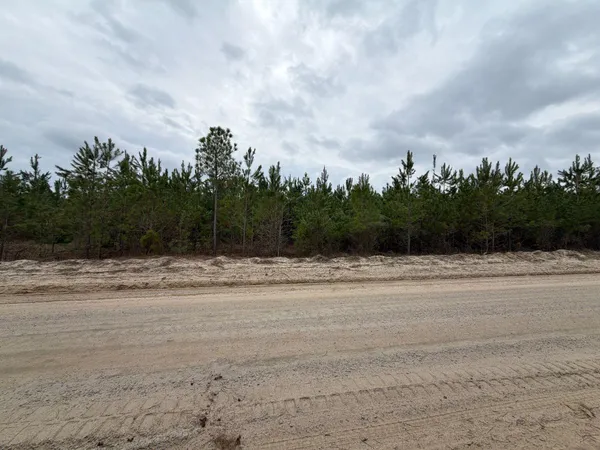 $54,900 | 4 J C J C Barefoot Road, Patrick, SC 29584