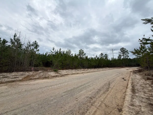 $54,900 | 4 J C J C Barefoot Road, Patrick, SC 29584