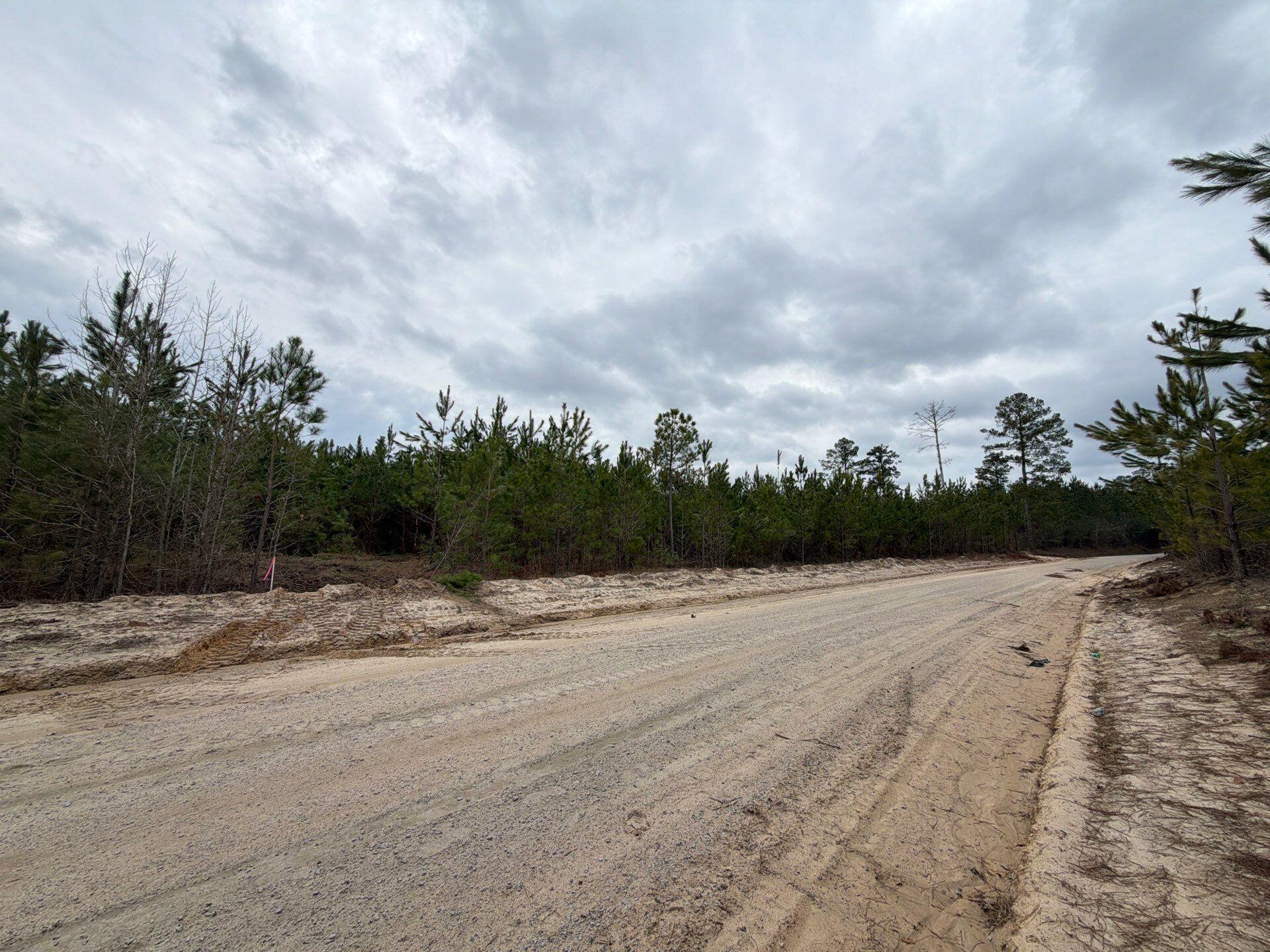 4 J C J C Barefoot Road Patrick, SC 29584 - Photo 8 of 21 22-Feb 11 2026 06_21pm-vJCS