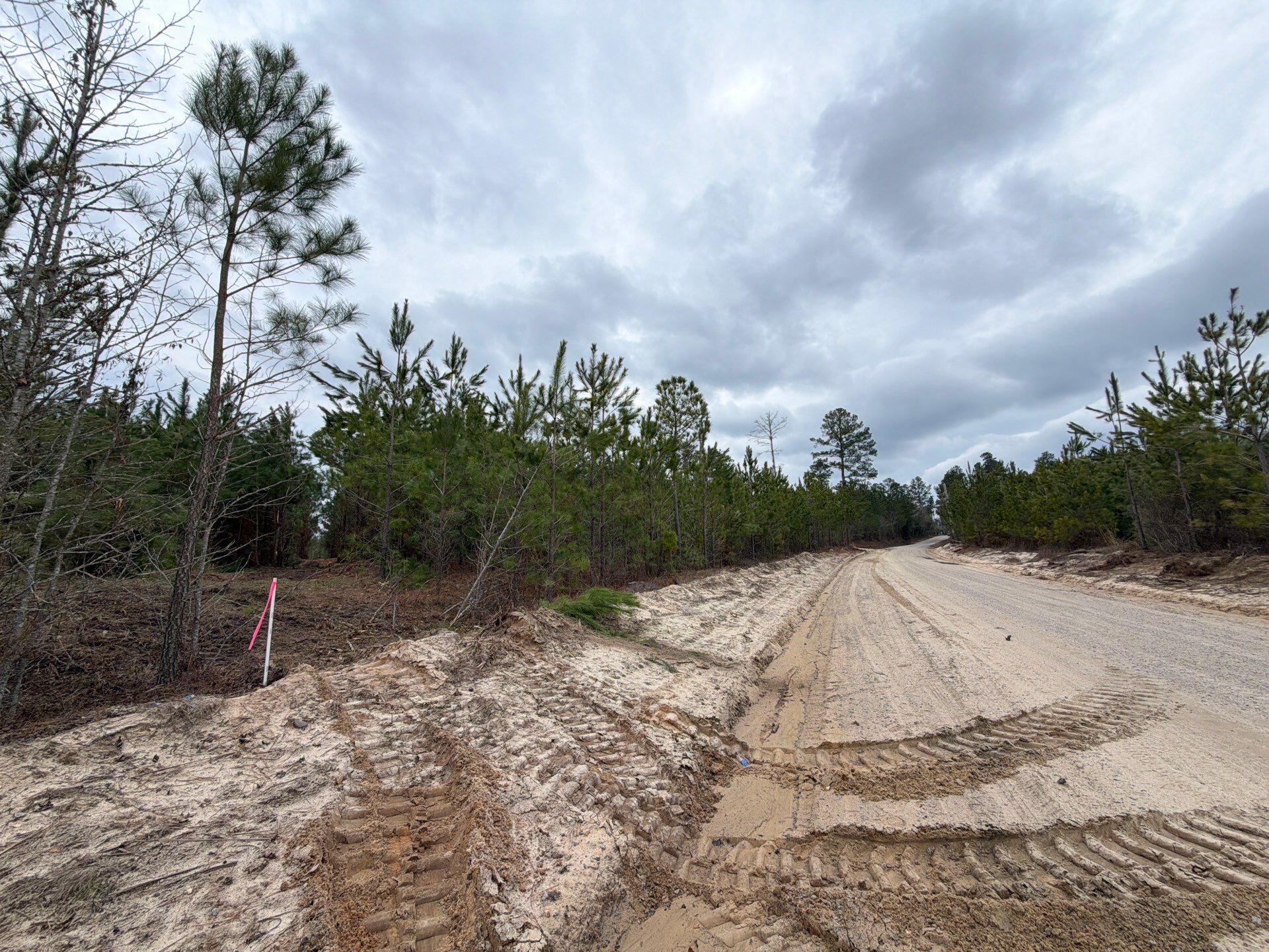4 J C J C Barefoot Road Patrick, SC 29584 - Photo 9 of 21 21-Feb 11 2026 06_20pm-tW7h