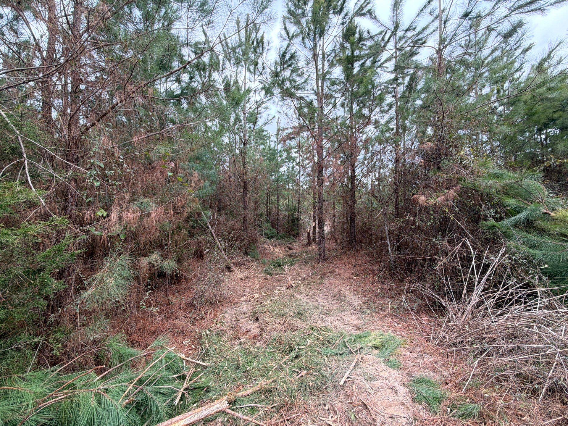 4 J C J C Barefoot Road Patrick, SC 29584 - Photo 10 of 21 19-Feb 11 2026 06_18pm-u6TF