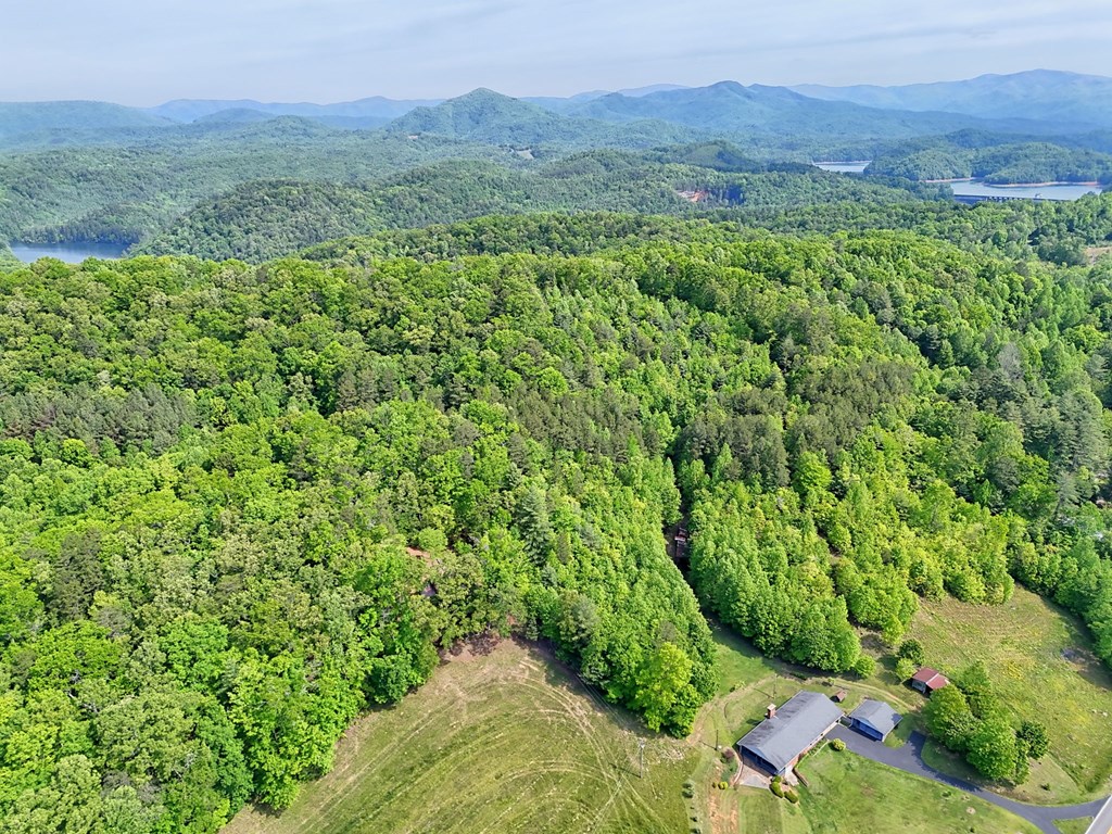 3235 Hiwassee Dam Access Road Murphy, NC 28906 - Photo 15 of 45 a view of a lush green forest with trees in the background