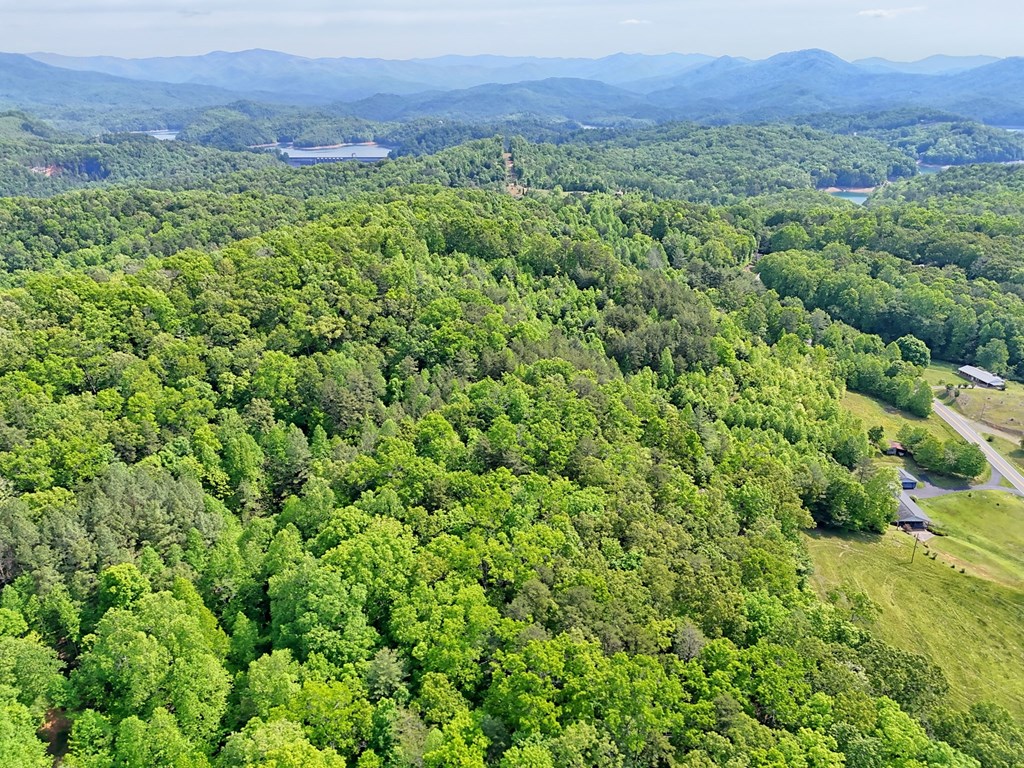 3235 Hiwassee Dam Access Road Murphy, NC 28906 - Photo 16 of 45 a view of a lush green forest with trees in the background