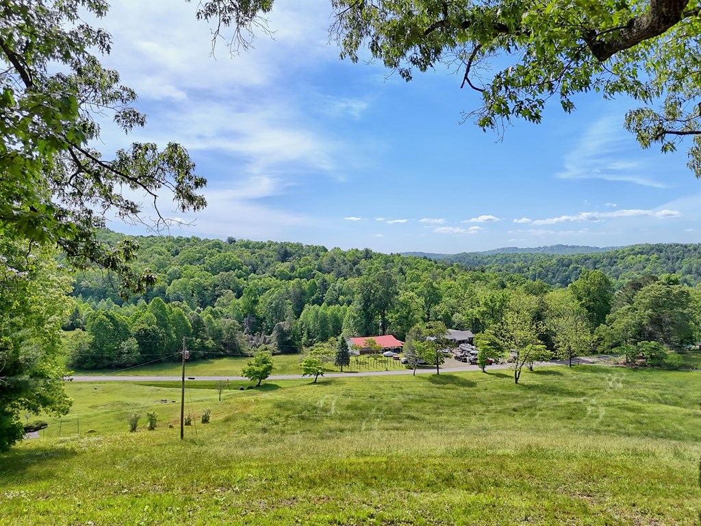 3235 Hiwassee Dam Access Road Murphy, NC 28906 - Photo 17 of 45 a view of a golf course with a house