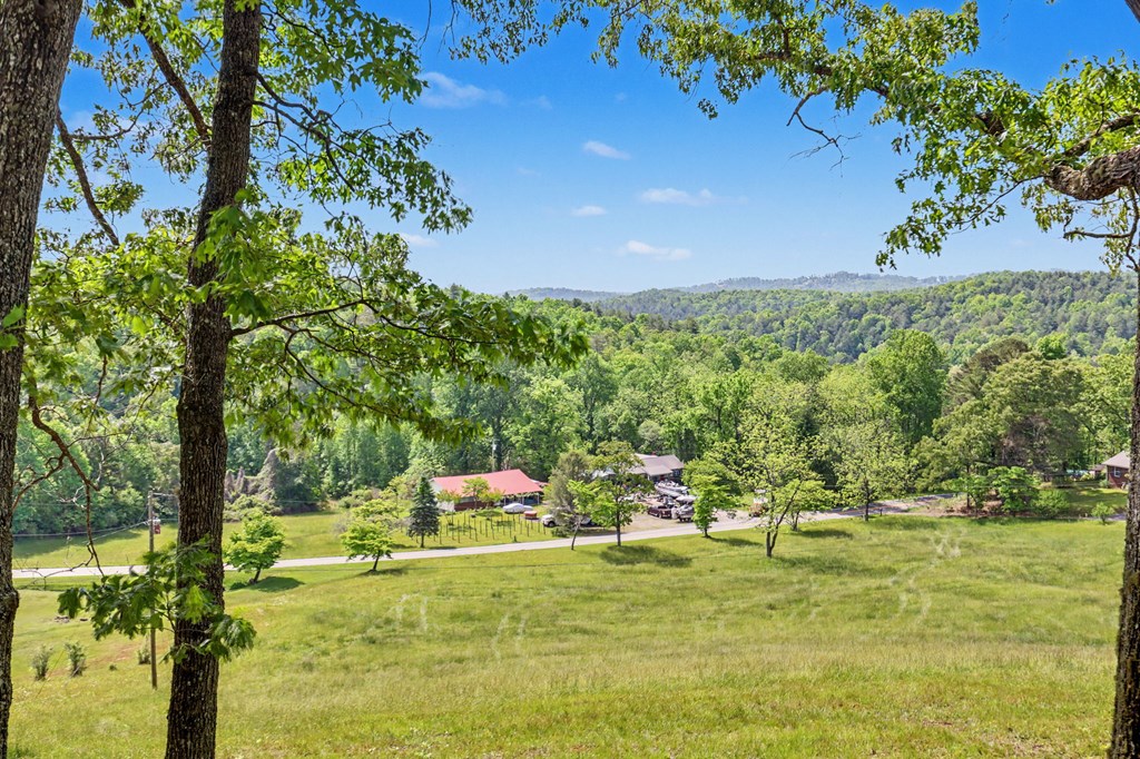 3235 Hiwassee Dam Access Road Murphy, NC 28906 - Photo 33 of 45 a view of a garden with an outdoor space