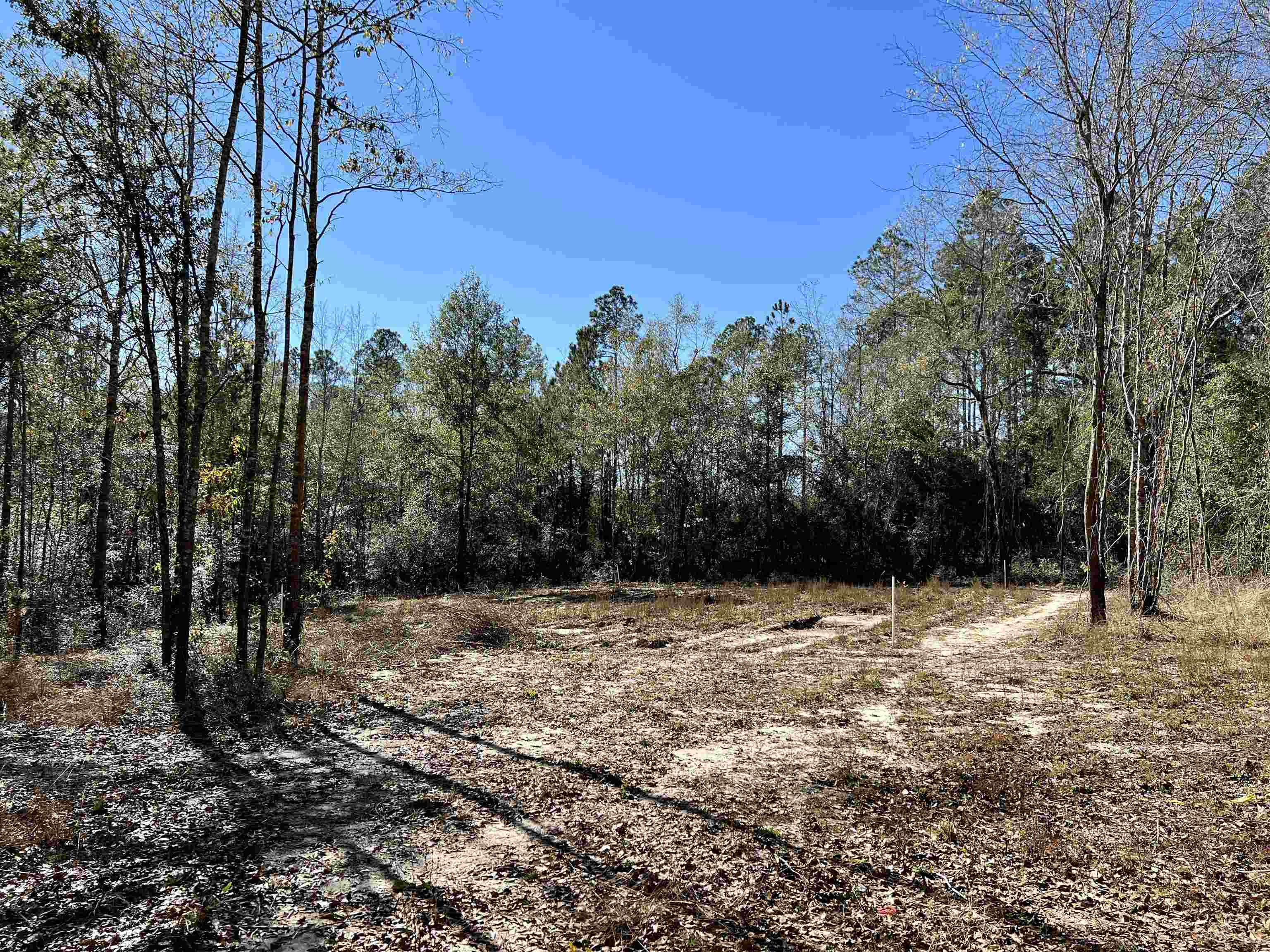 9640 Green Jordan Road Bay Minette, AL 36507 - Photo 9 of 32