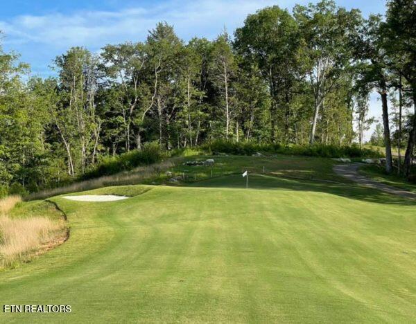 119 Pineberry East Road Oak Ridge, TN 37830 - Photo 6 of 13 Preserve Golf 2