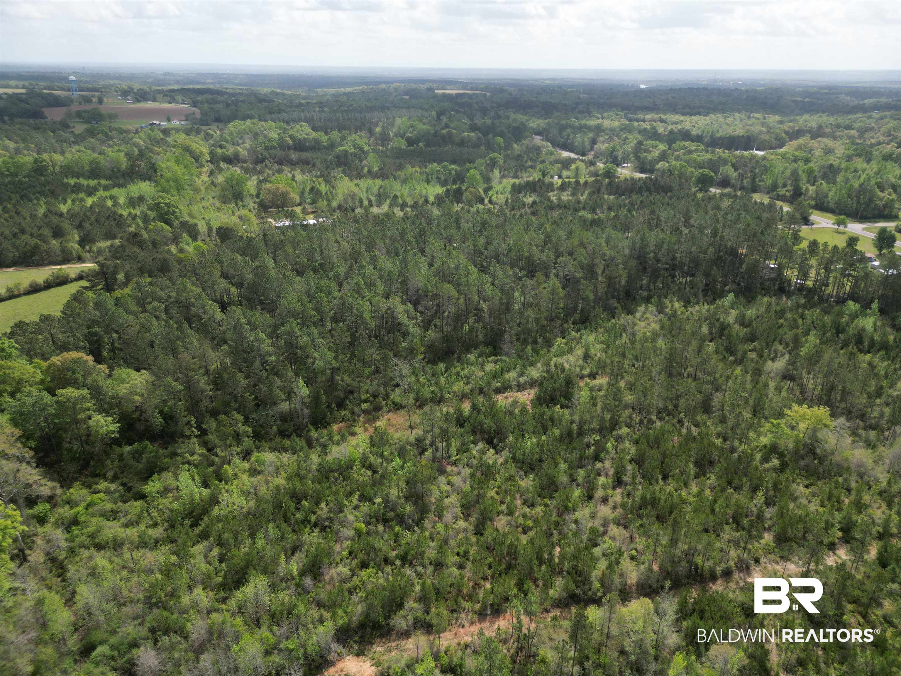 8200 Grimes Road Century, FL 32535 - Photo 13 of 19 Gallery Image 13