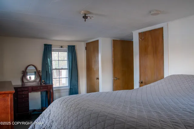 a view of a garden with plants and large trees