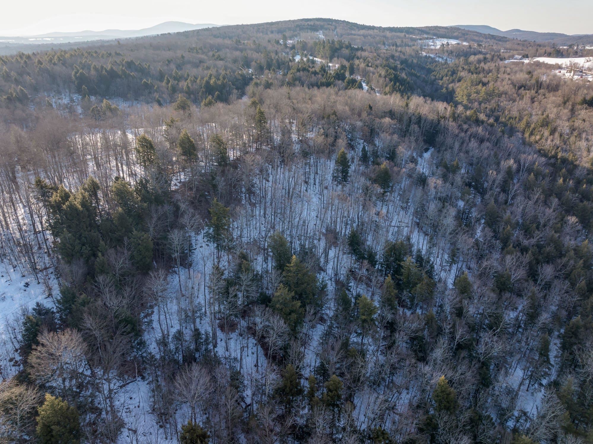 Brookview Lane Wolcott, VT 05680 - Photo 11 of 15