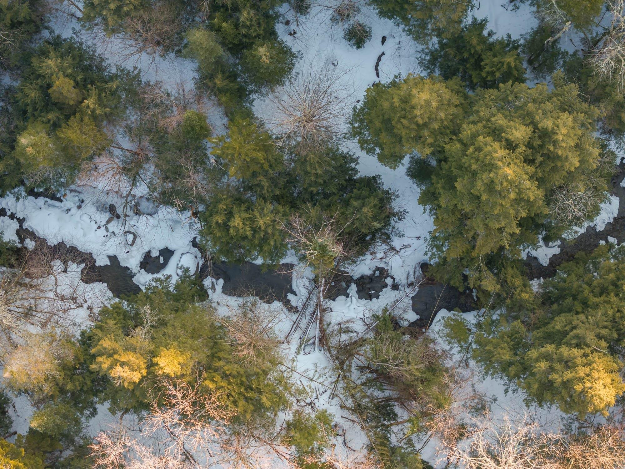 Brookview Lane Wolcott, VT 05680 - Photo 12 of 15