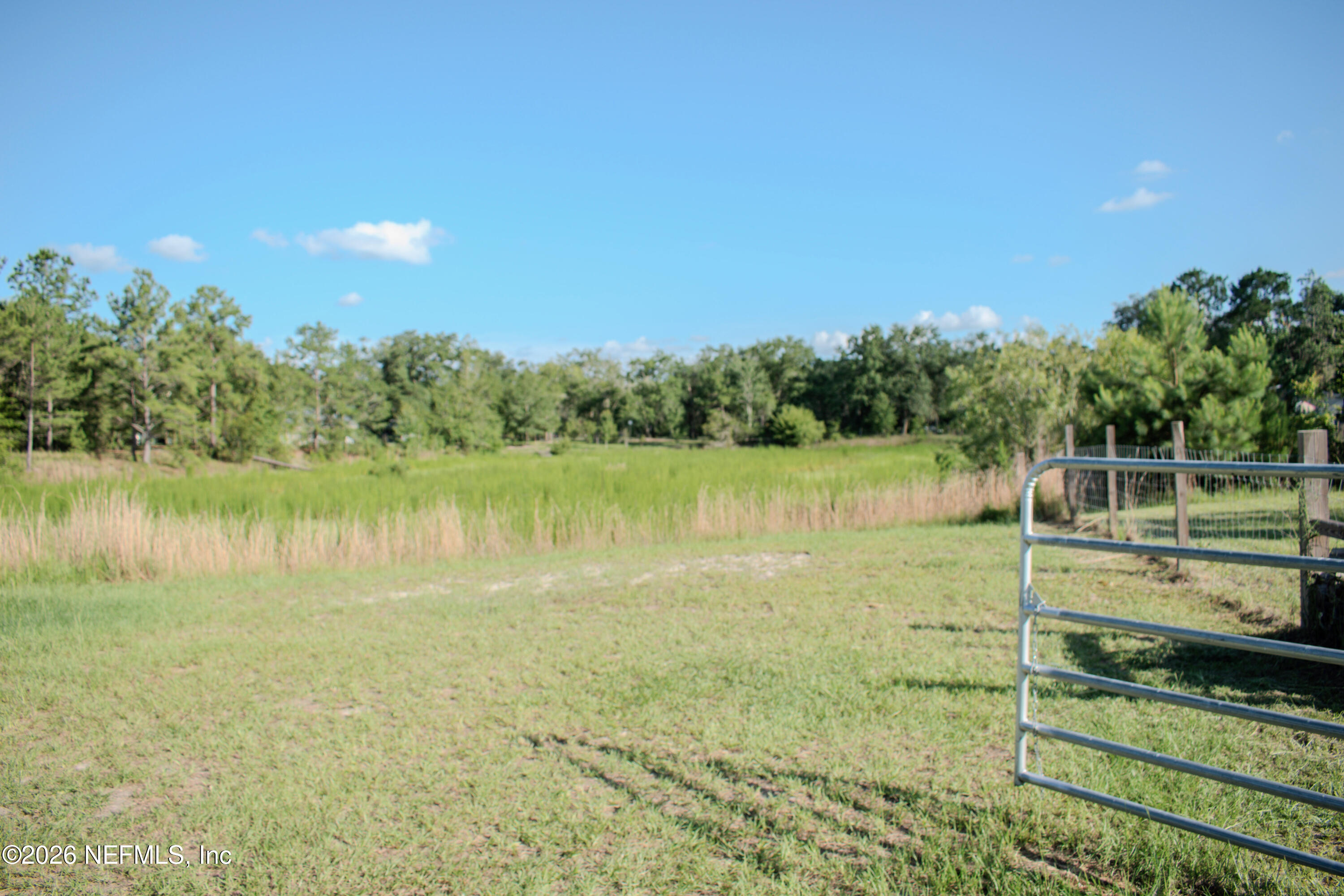 8301 Southwest 45th Place Lake Butler, FL 32054 - Photo 3 of 21 58-DSC_0395