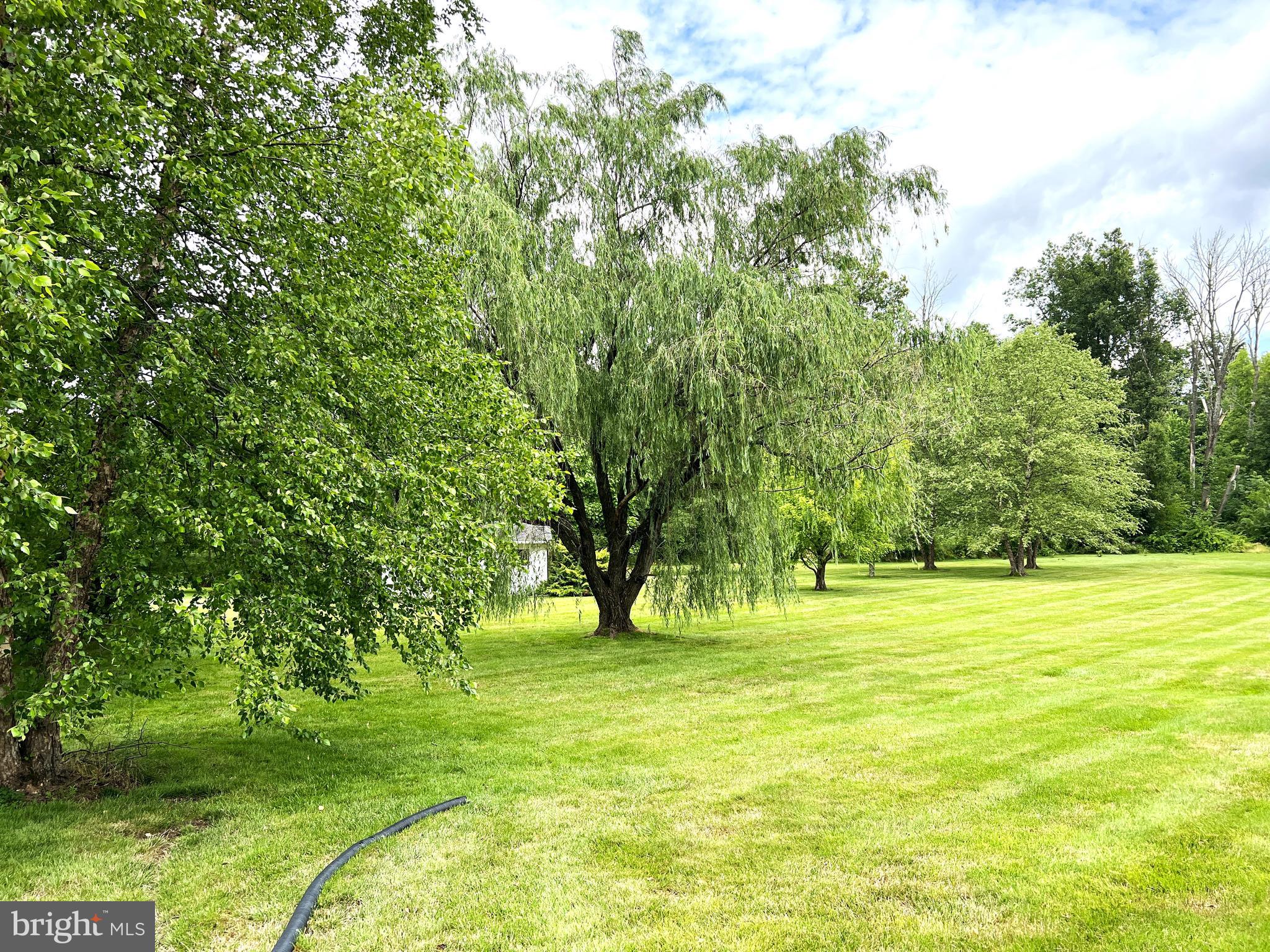 12 Beverly Road Perkasie, PA 18944 - Photo 51 of 56