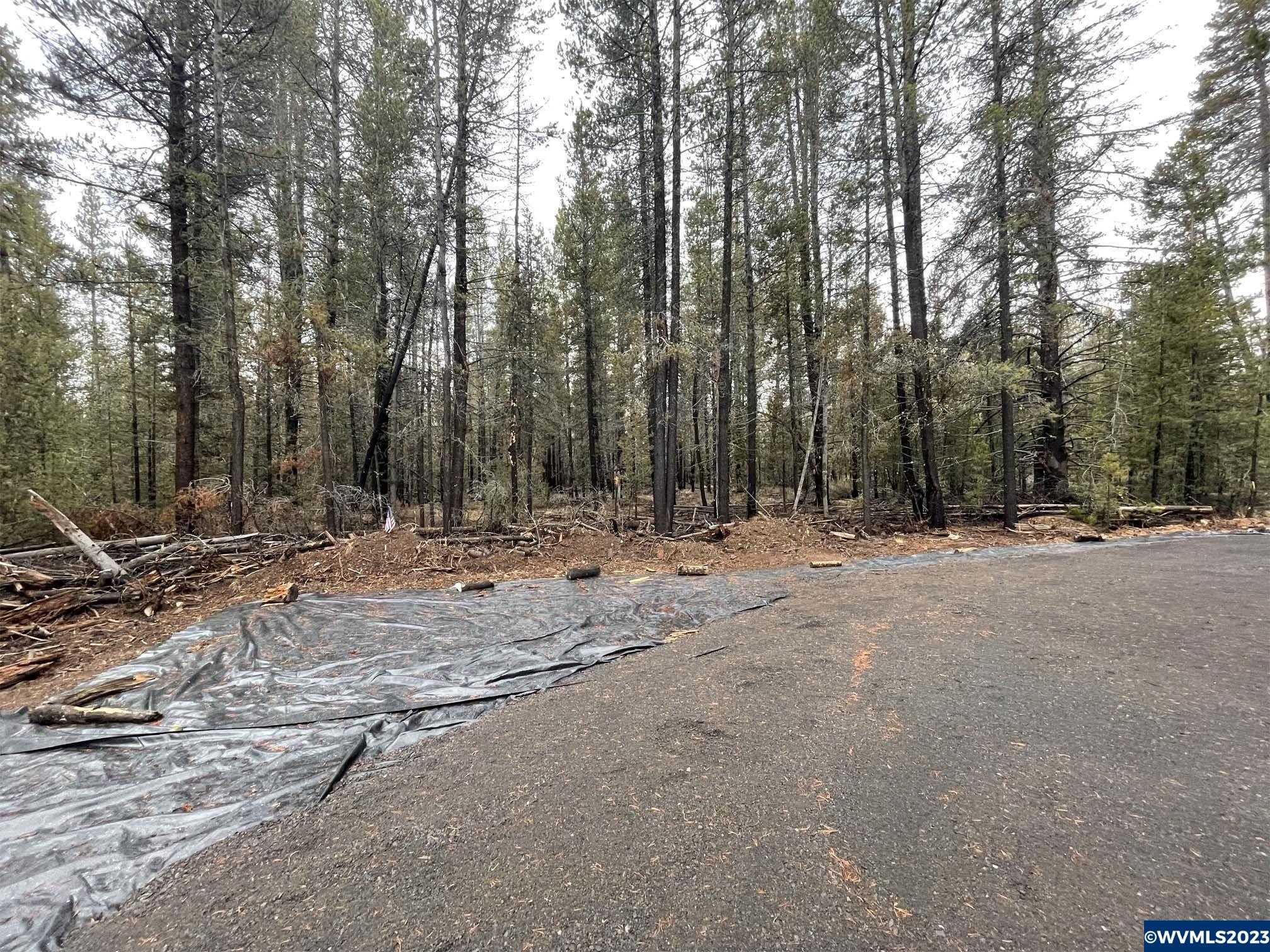 500 Cloudcap Drive Chiloquin, OR 97624 - Photo 9 of 23