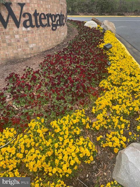 205 Yoakum Parkway, Unit 626 Alexandria, VA 22304 - Photo 83 of 83 Entrance on Yoakum Parkway