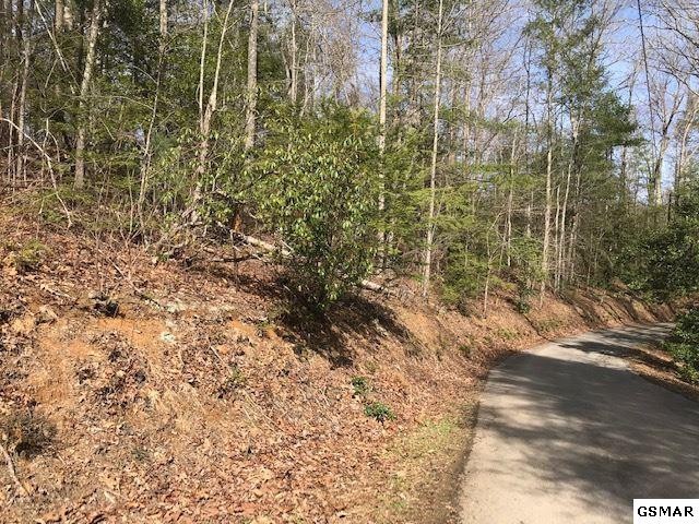 10 Reed Ridge Road Gatlinburg, TN 37738 - Photo 7 of 8