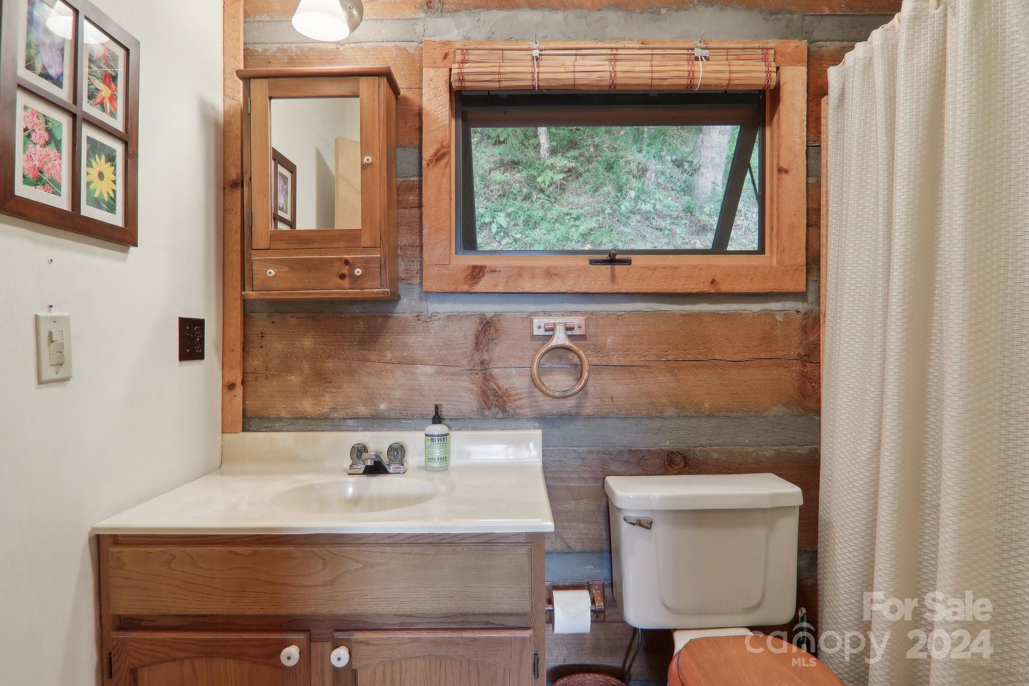 1685 Setzercove Road Maggie Valley, NC 28751 - Photo 20 of 42 a bathroom with a toilet sink and mirror