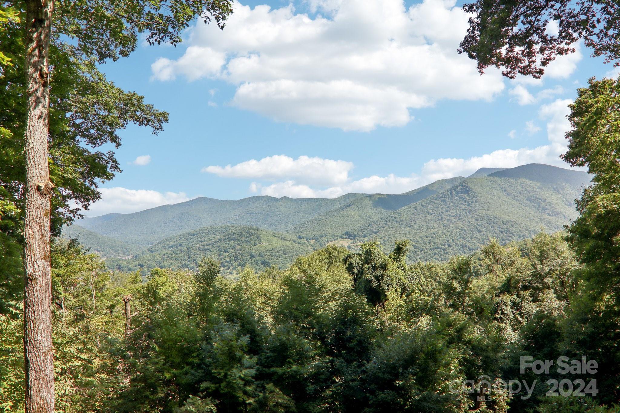 1685 Setzercove Road Maggie Valley, NC 28751 - Photo 30 of 42