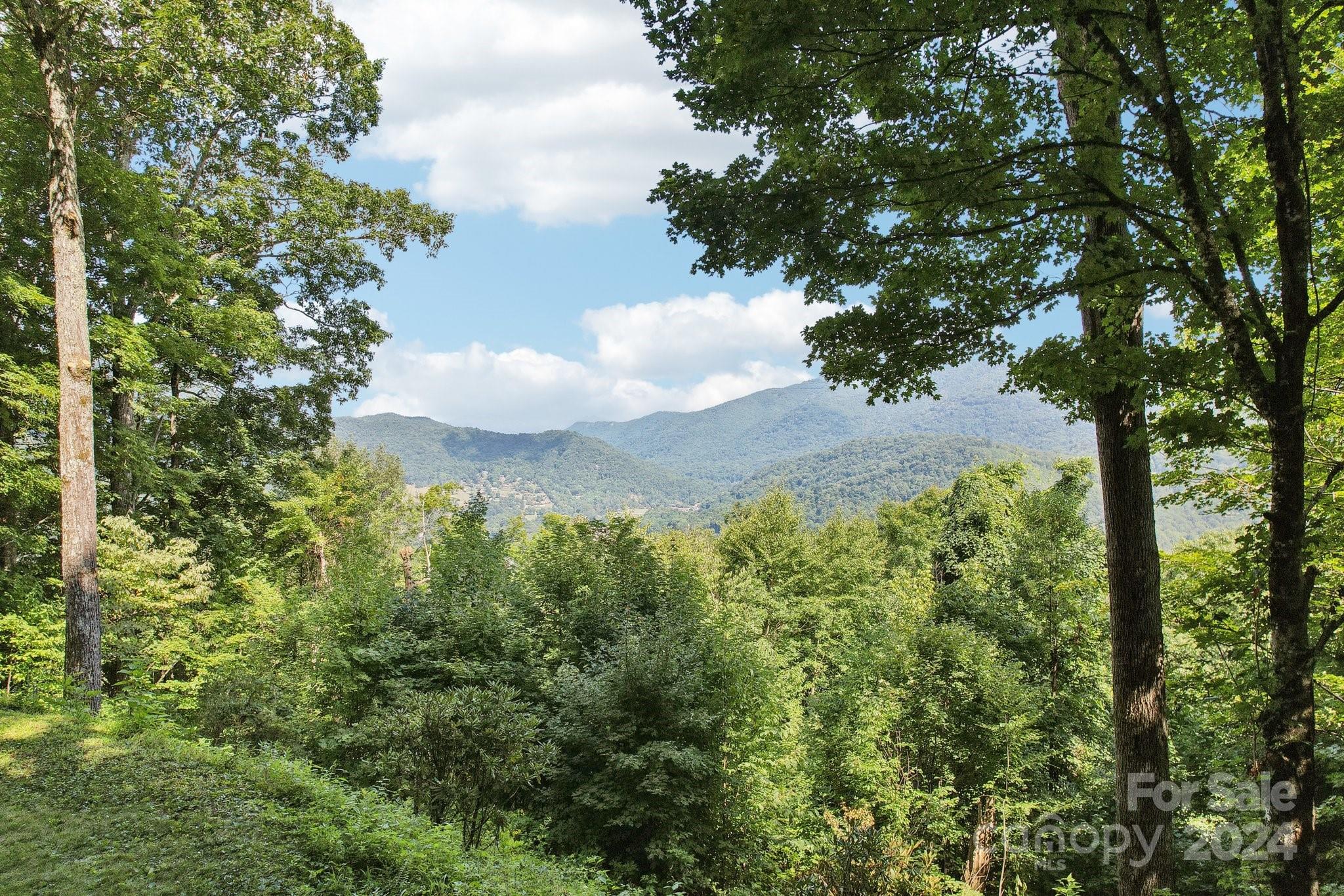 1685 Setzercove Road Maggie Valley, NC 28751 - Photo 4 of 42 a view of a lake