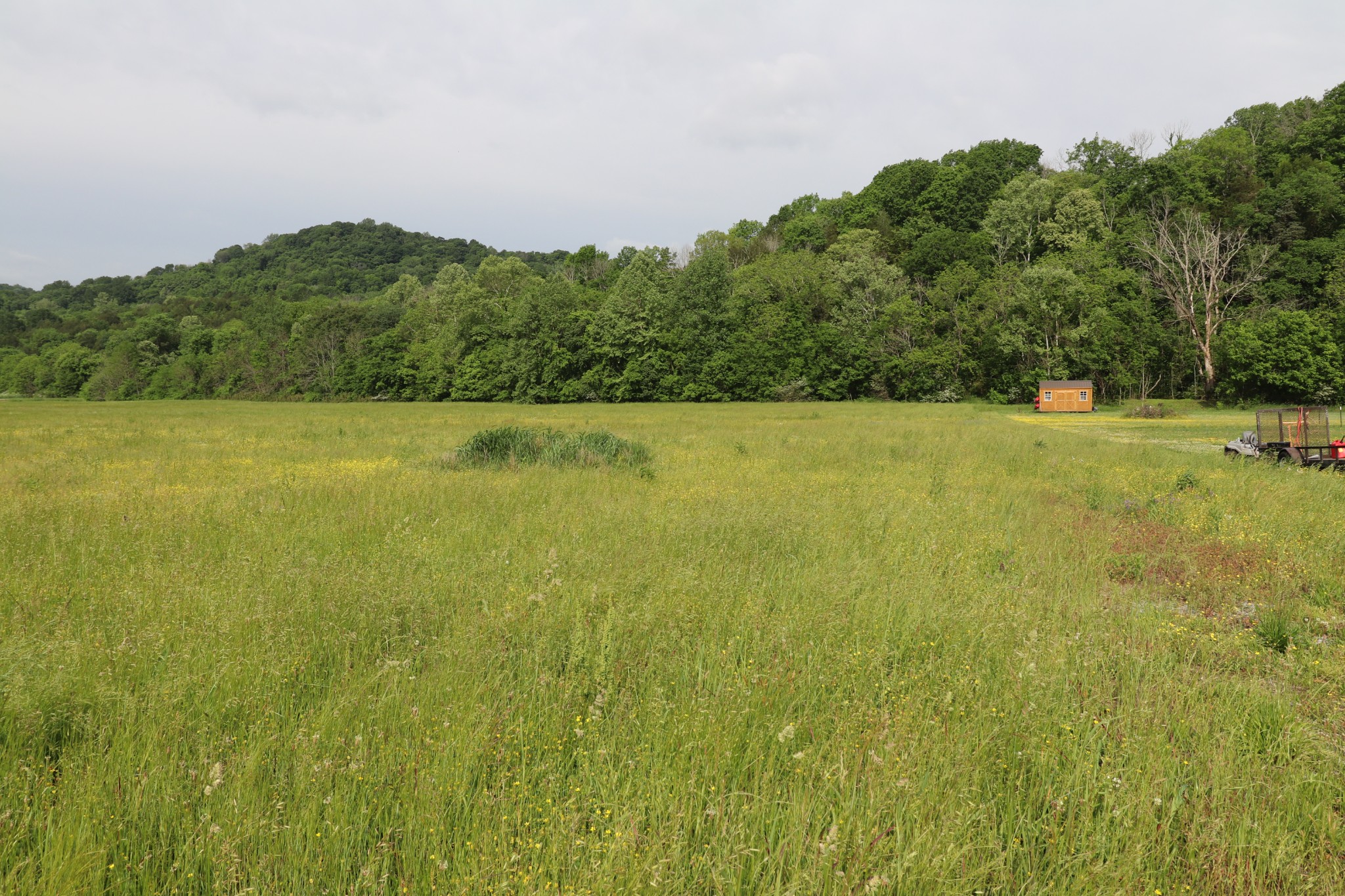 8 Hartsville Road Lafayette, TN 37083 - Photo 14 of 15