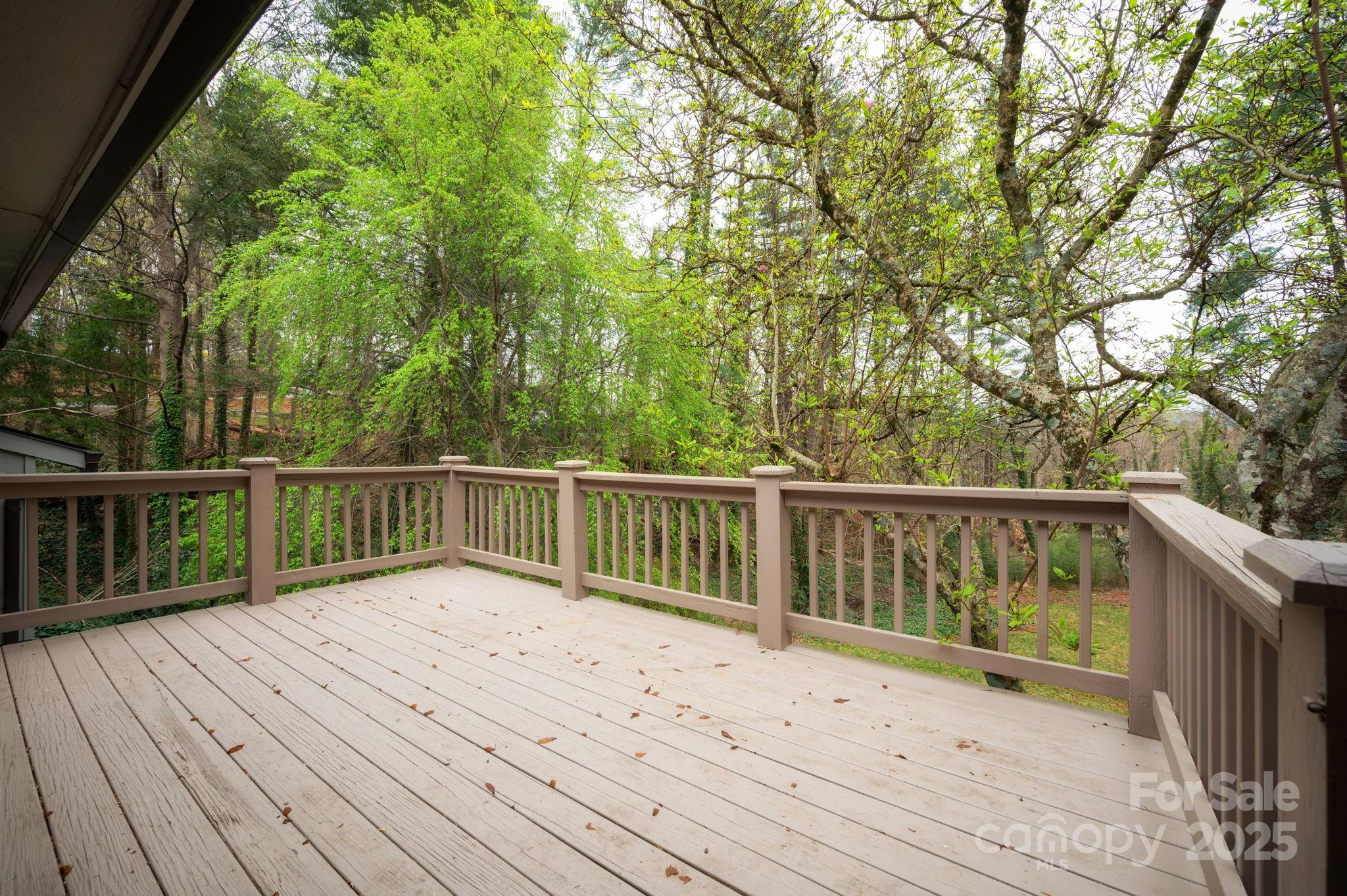 48 Stratford Road Asheville, NC 28804 - Photo 14 of 35 Gallery Image 14