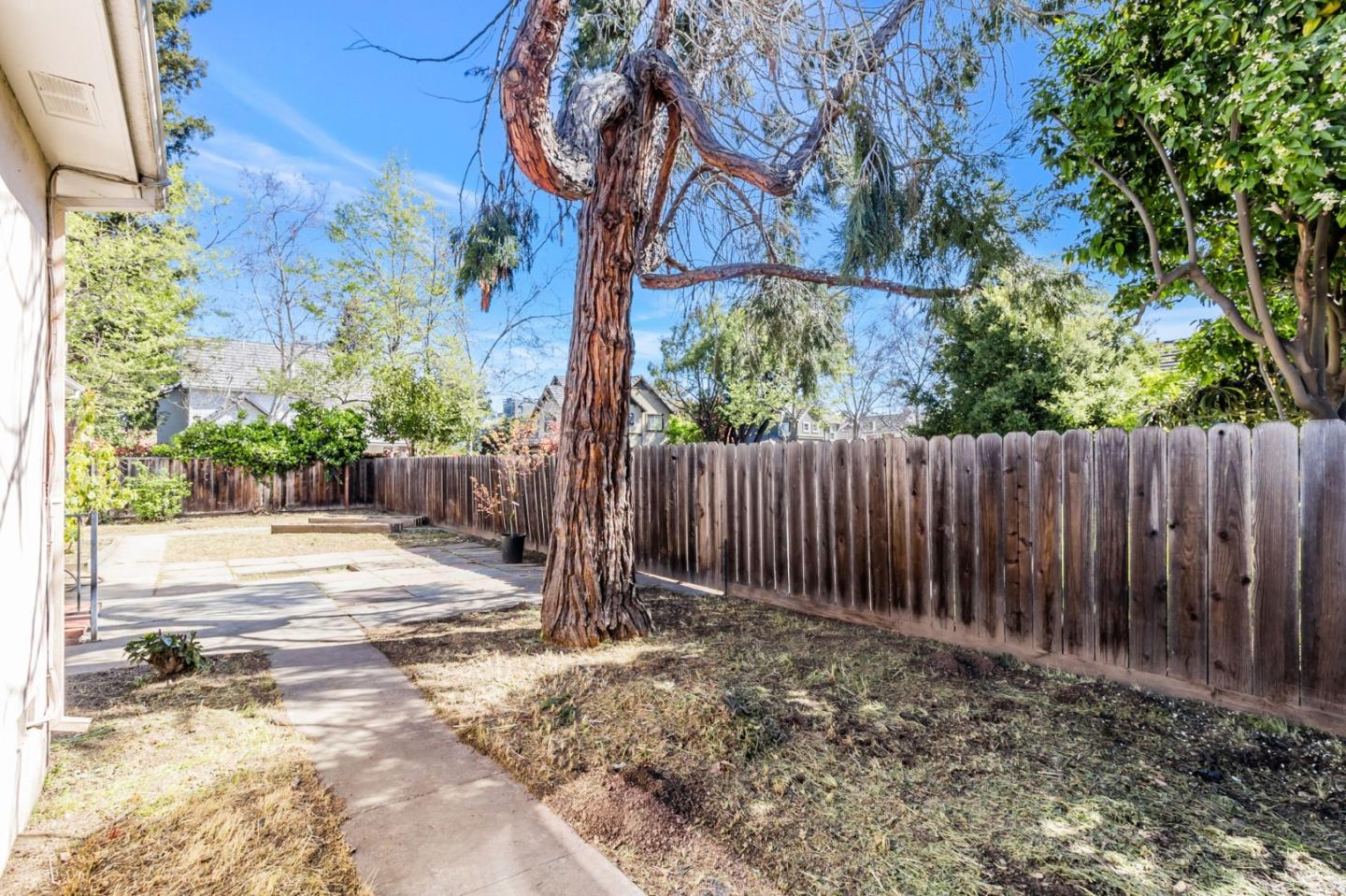 167 North Whisman Road Mountain View, CA 94043 - Photo 27 of 49 a view of a backyard with tree s