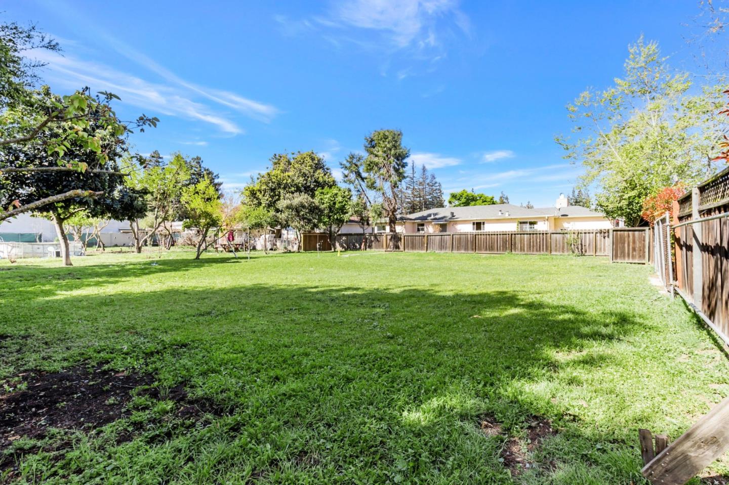 167 North Whisman Road Mountain View, CA 94043 - Photo 31 of 49 a view of a park with a tree in the background