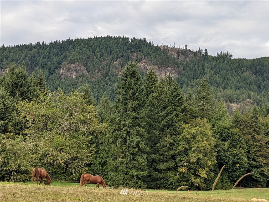 15212 Jordan Road Arlington, WA 98223 - Photo 4 of 19 Gallery Image 4