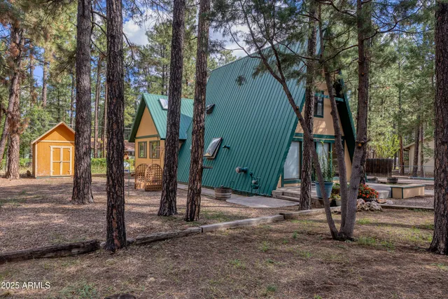 a park with large trees and a wooden fence