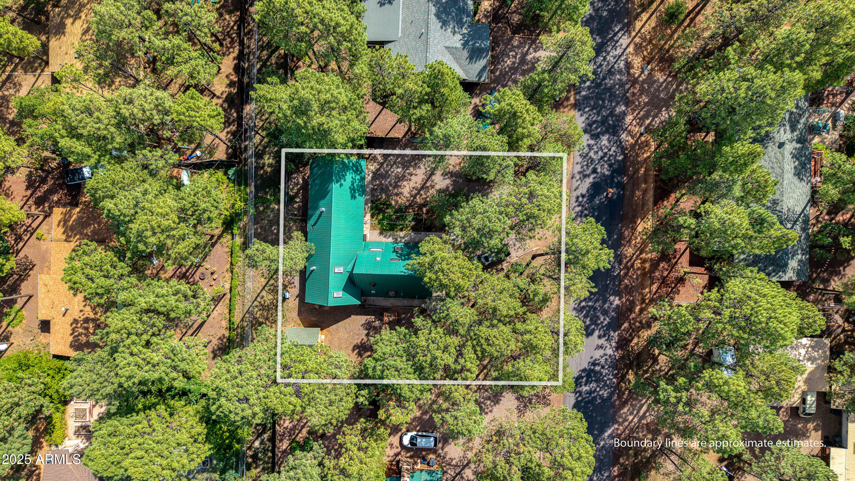 5382 Pine Dawn Road Lakeside, AZ 85929 - Photo 37 of 38 a view of a yard