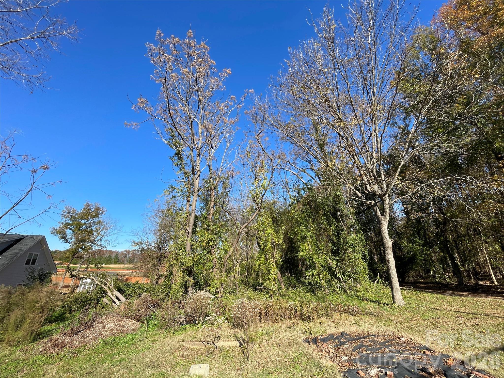 Tbd Blythe Mill Road Waxhaw, NC 28173 - Photo 1 of 8 a view of a yard in a yard