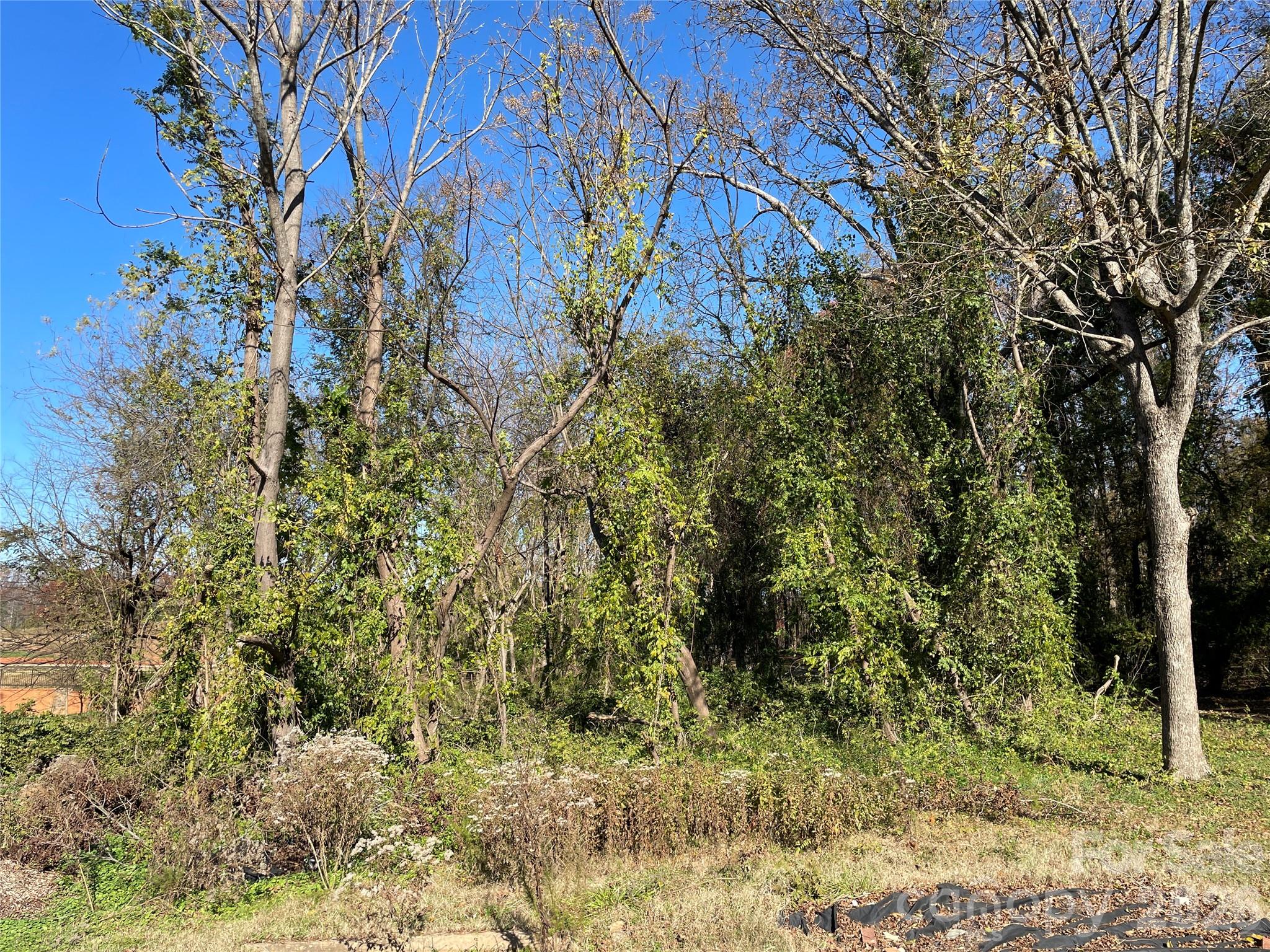 Tbd Blythe Mill Road Waxhaw, NC 28173 - Photo 5 of 8 a view of a yard