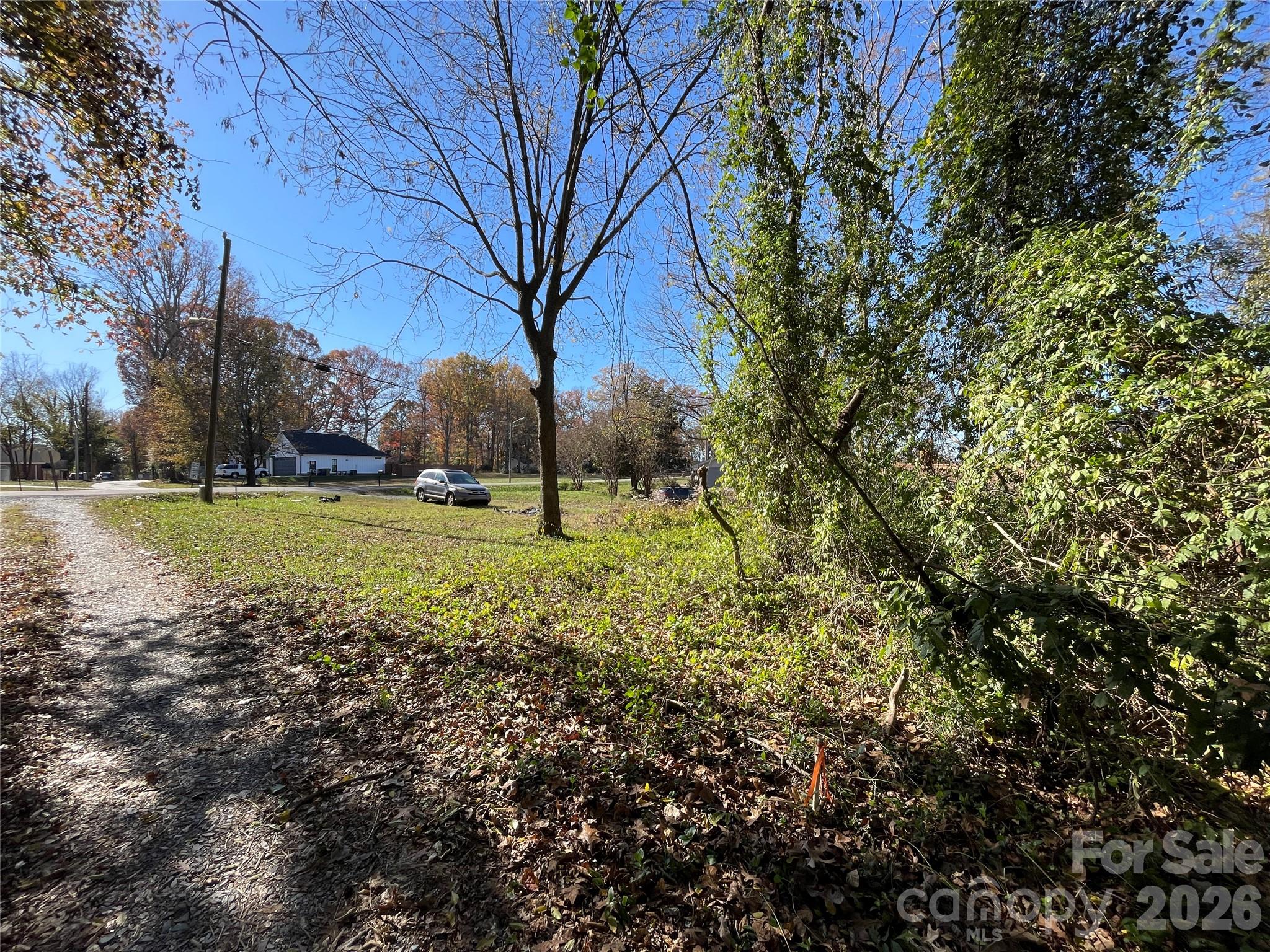 Tbd Blythe Mill Road Waxhaw, NC 28173 - Photo 6 of 8 a view of a field with a tree